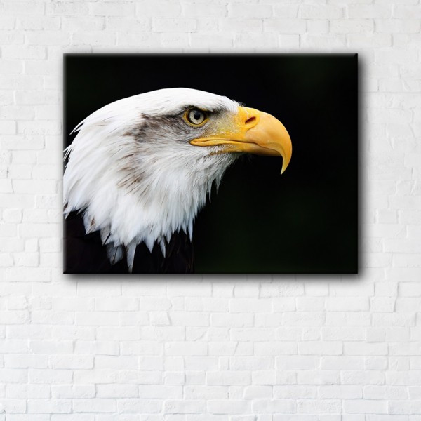 

Картина на холсте прямоугольная I-Art Eagle 90x120см