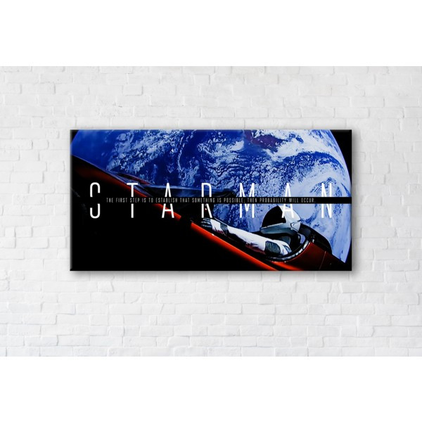 

Картина на холсте прямоугольная I-Art Starman 90x180см