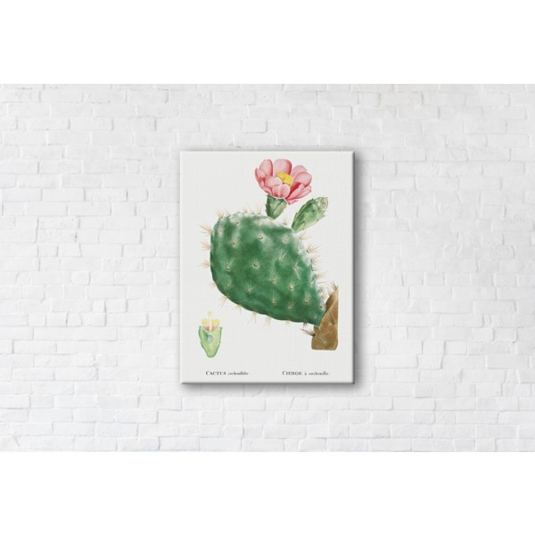 

Картина на холсте прямоугольная I-Art Cactus Pink 45x60см