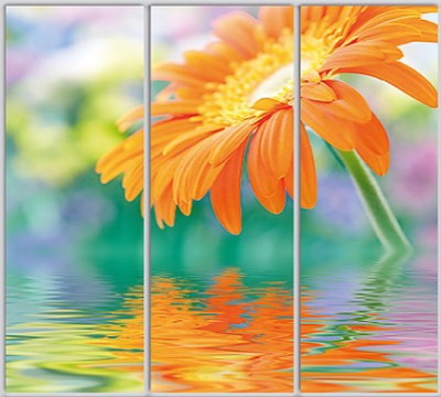 

Шкаф купе Luxe Studio Стандарт-1 Фотопечать Природа-196 2300x2300x600 трехдверный