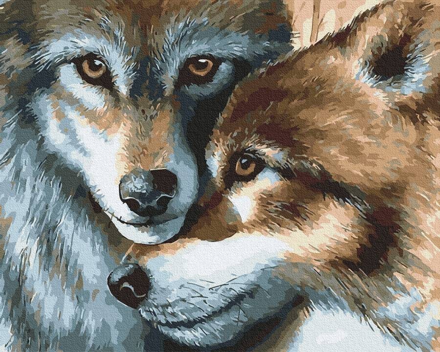 

Картина по номерам Волчья пара 50*40 BrushMe