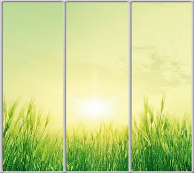 

Шкаф купе Luxe Studio Стандарт-1 Фотопечать Природа-40 2300x2400x600 трехдверный