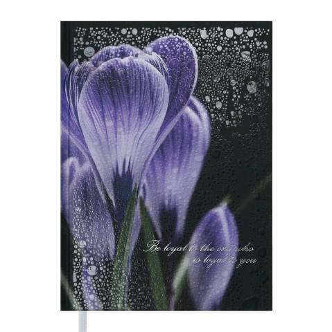 

Ежедневник недатированный Buromax POSH A5 288 страниц фиолетовый (BM.2013-01)