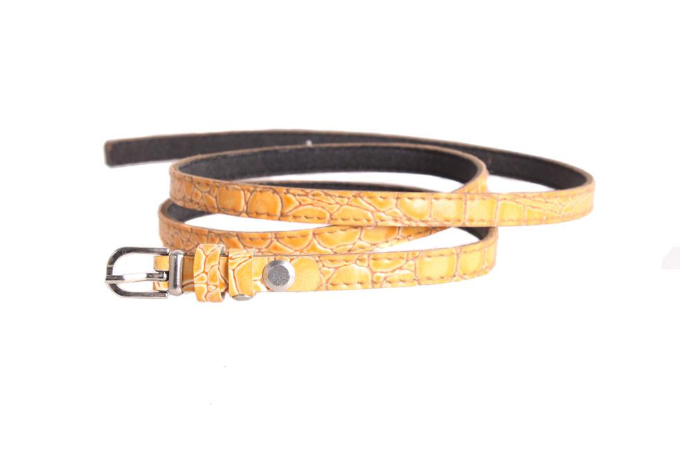 

Женский узкий ремень D-Belts S0519 янтарный (100 см х 1 см)