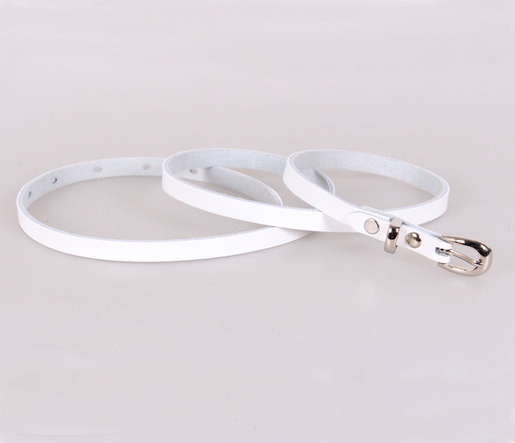 

Белоснежный женский ремешок D-Belts S1198 белый (115 см х 1 см)