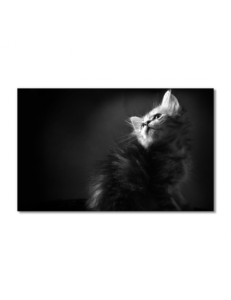 

Модульная картина Artel «Пушистый котенок» 1 модуль 60x90 см