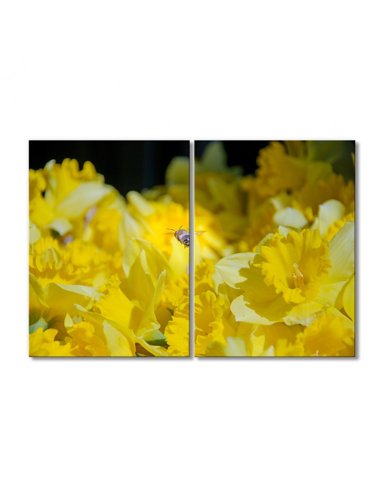 

Модульная картина Artel «Пчела над растениями» 2 модуля 70x105 см