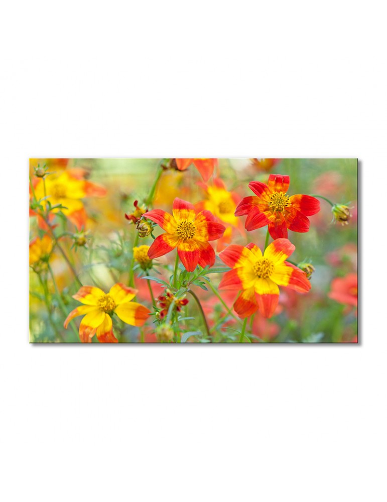 

Модульная картина Artel «Полевые цветы желто-красные» 1 модуль 80x120 см