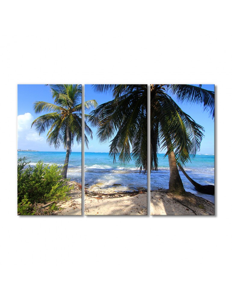 

Модульная картина Artel «Пляж с пальмой» 3 модуля 80x120 см