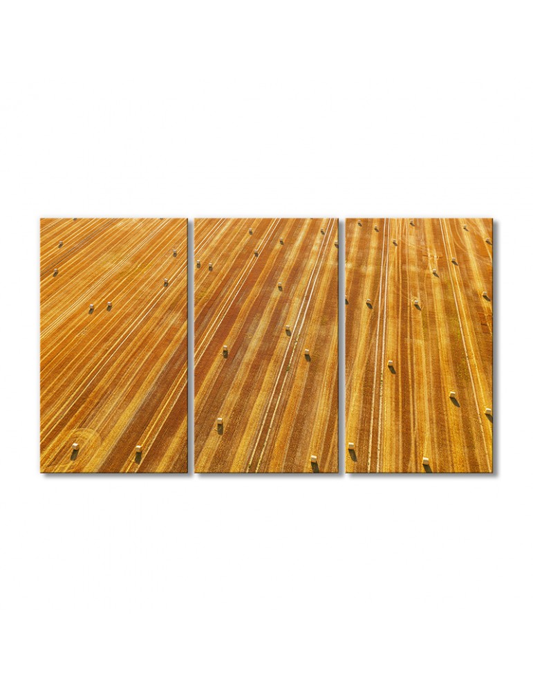 

Модульная картина Artel «Пейзаж поле тюки сена» 3 модуля 60x90 см