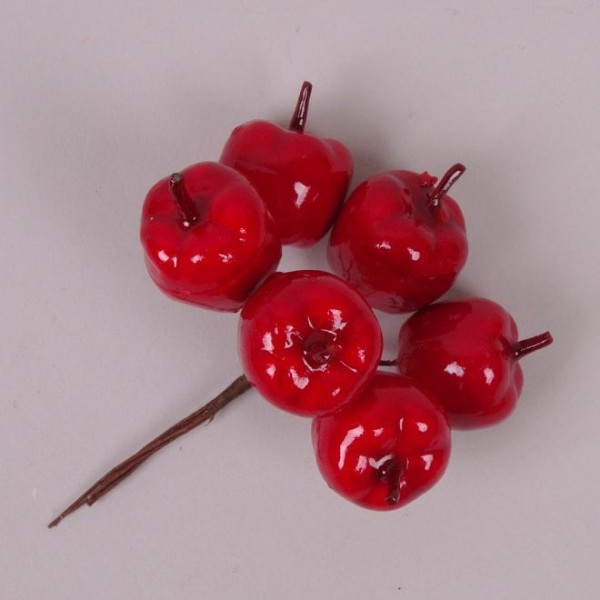 

Пучок Яблочек Flora 12шт/уп 75393 (NAT07272)