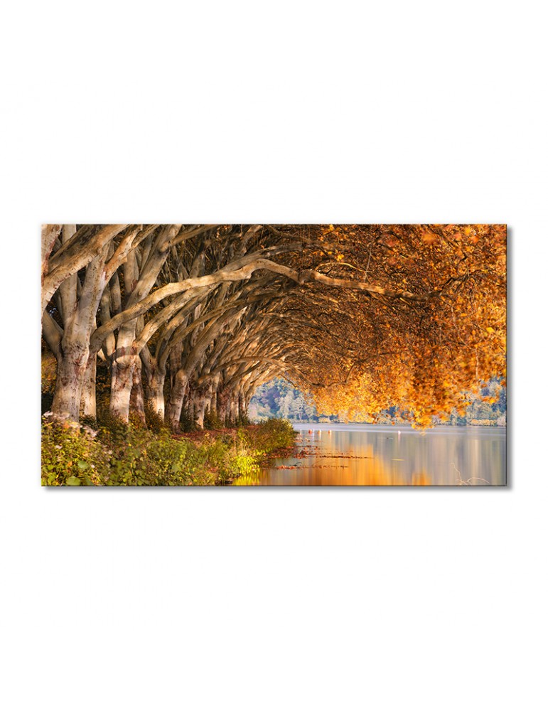 

Модульная картина Artel «Пейзаж осенние деревья над рекой» 1 модуль 80x120 см