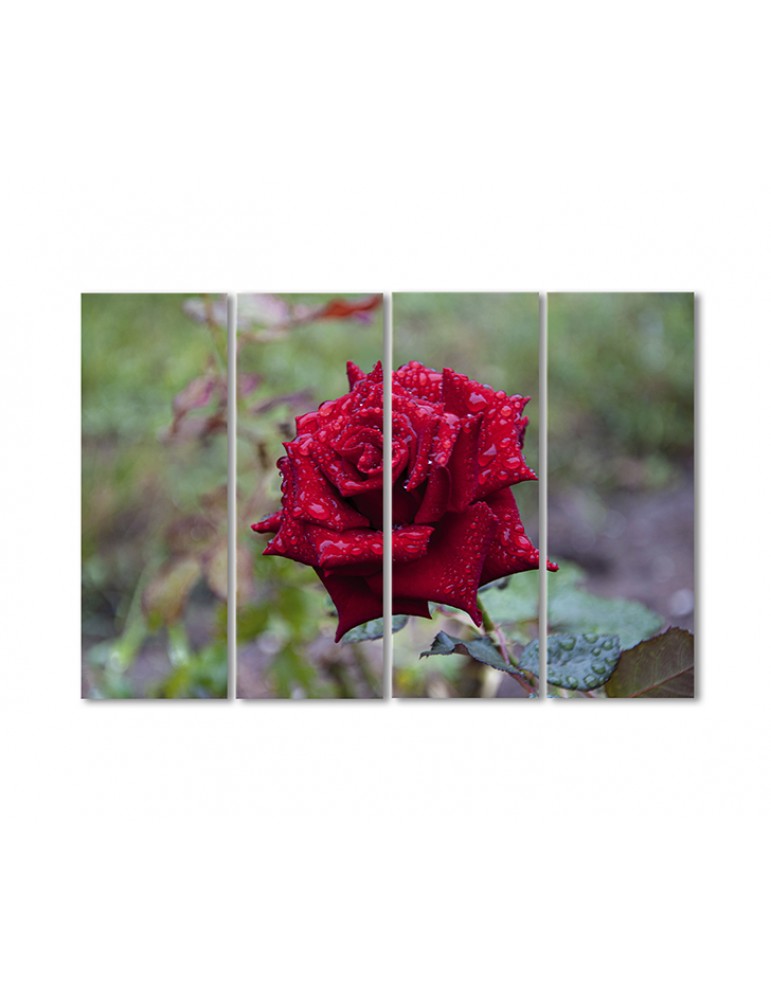 

Модульная картина Artel «Пурпурная роза в росе» 4 модуля 80x120 см
