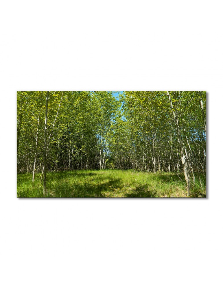 

Модульная картина Artel «Пейзаж рощи деревьев» 1 модуль 70x105 см