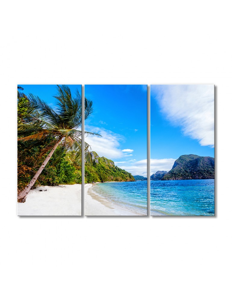 

Модульная картина Artel «Пальмы побережье гора» 3 модуля 50x75 см