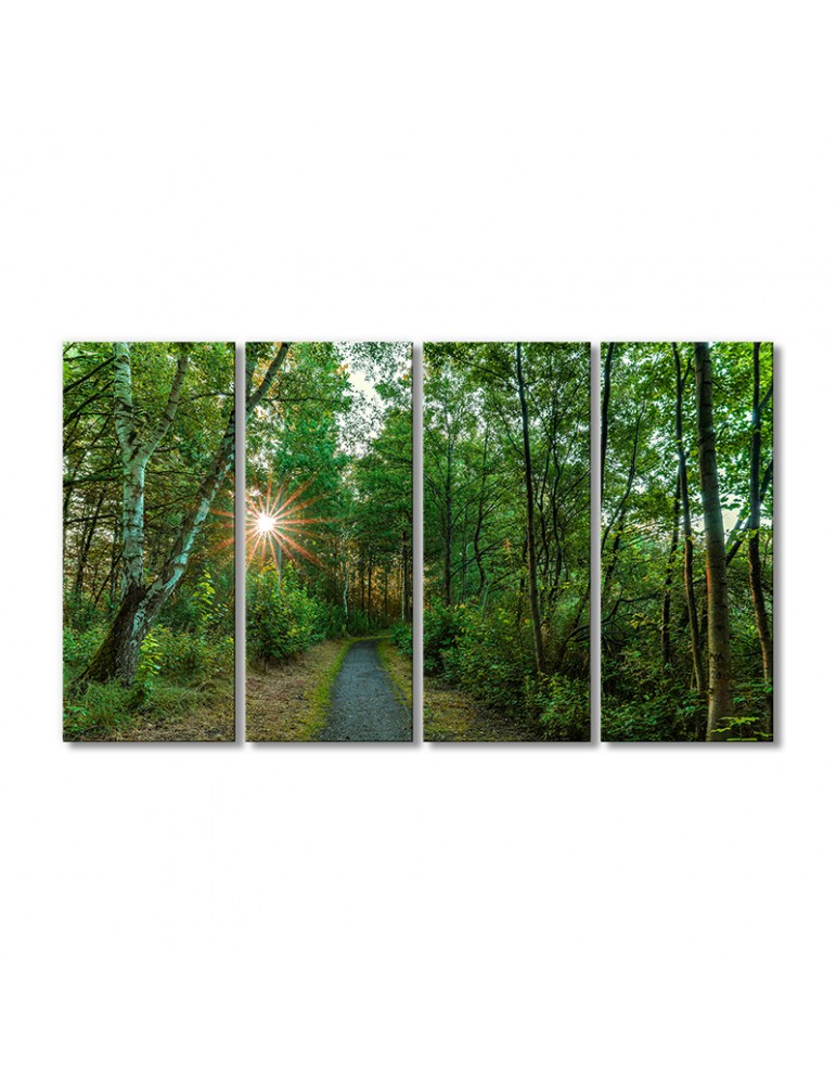 

Модульная картина Artel «Путь сквозь чащу» 4 модуля 90x135 см