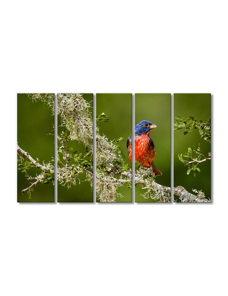 

Модульная картина Artel «Расписанная овсянка кардинал» 5 модулей 70x105 см