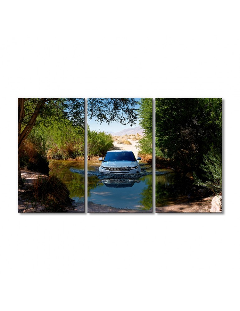 

Модульная картина Artel «Рендж Ровер Эвок 2019» 3 модуля 90x135 см
