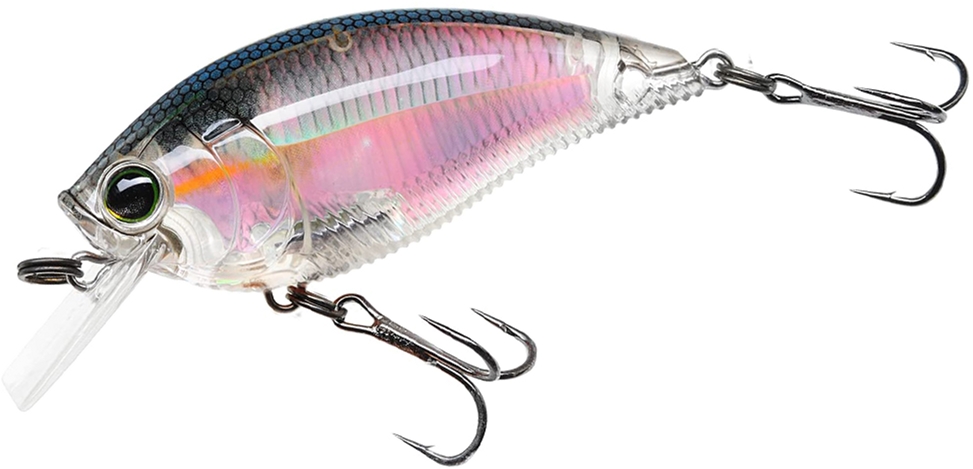 

Воблер Yo-Zuri 3DR Shallow Crank F 70 мм 16.0 г #RGZS (R1316-RGZS)