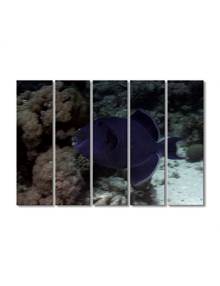 

Модульная картина Artel «Рыбная королева - спинорог» 5 модулей 80x120 см