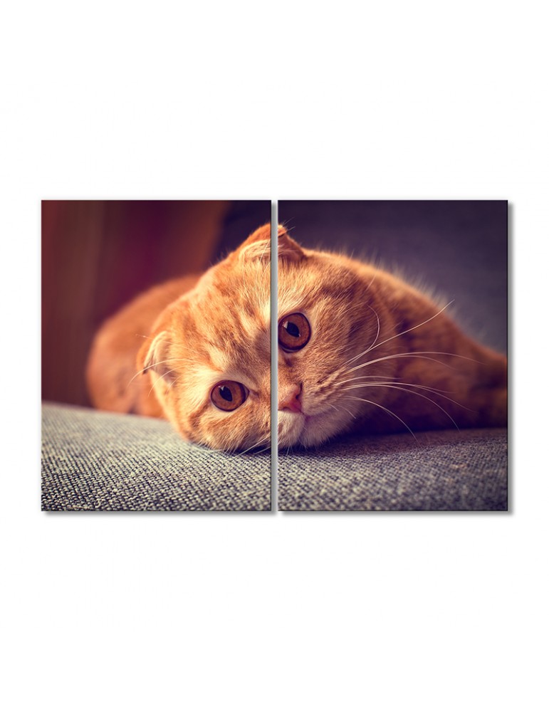 

Модульная картина Artel «Рыжий котик скоттиш-фолд» 2 модуля 90x135 см