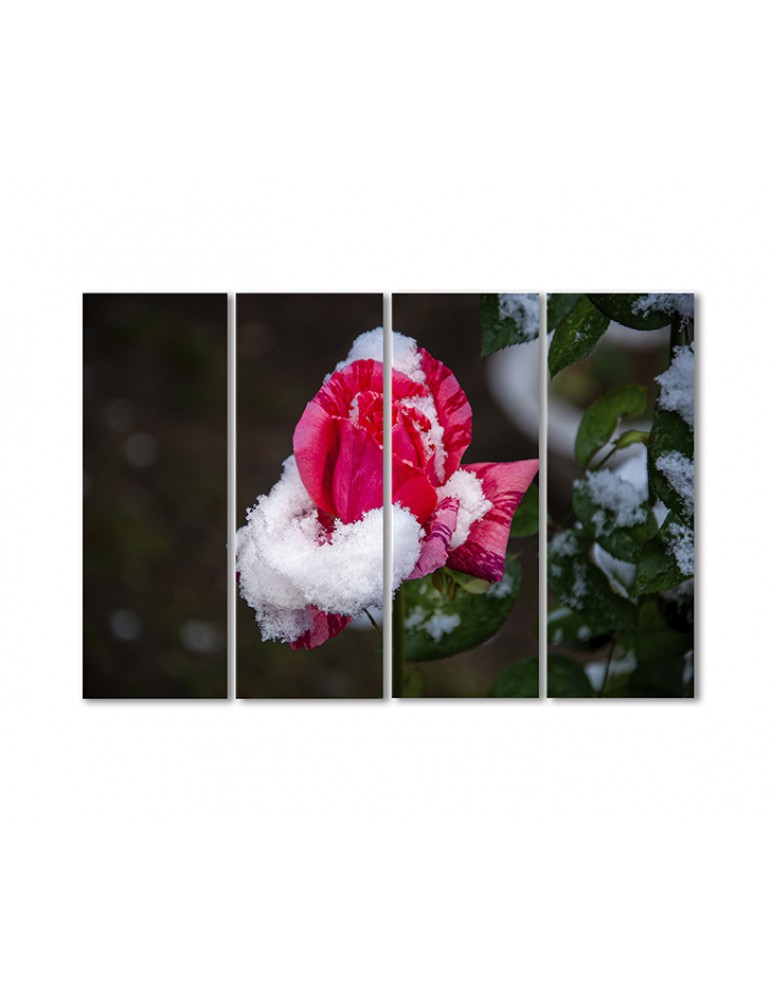 

Модульная картина Artel «Роза в снегу» 4 модуля 80x120 см