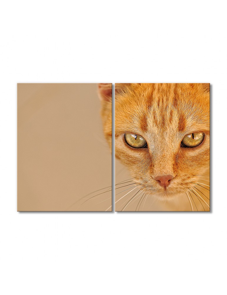 

Модульная картина Artel «Рыжая хитрая кошка» 2 модуля 80x120 см