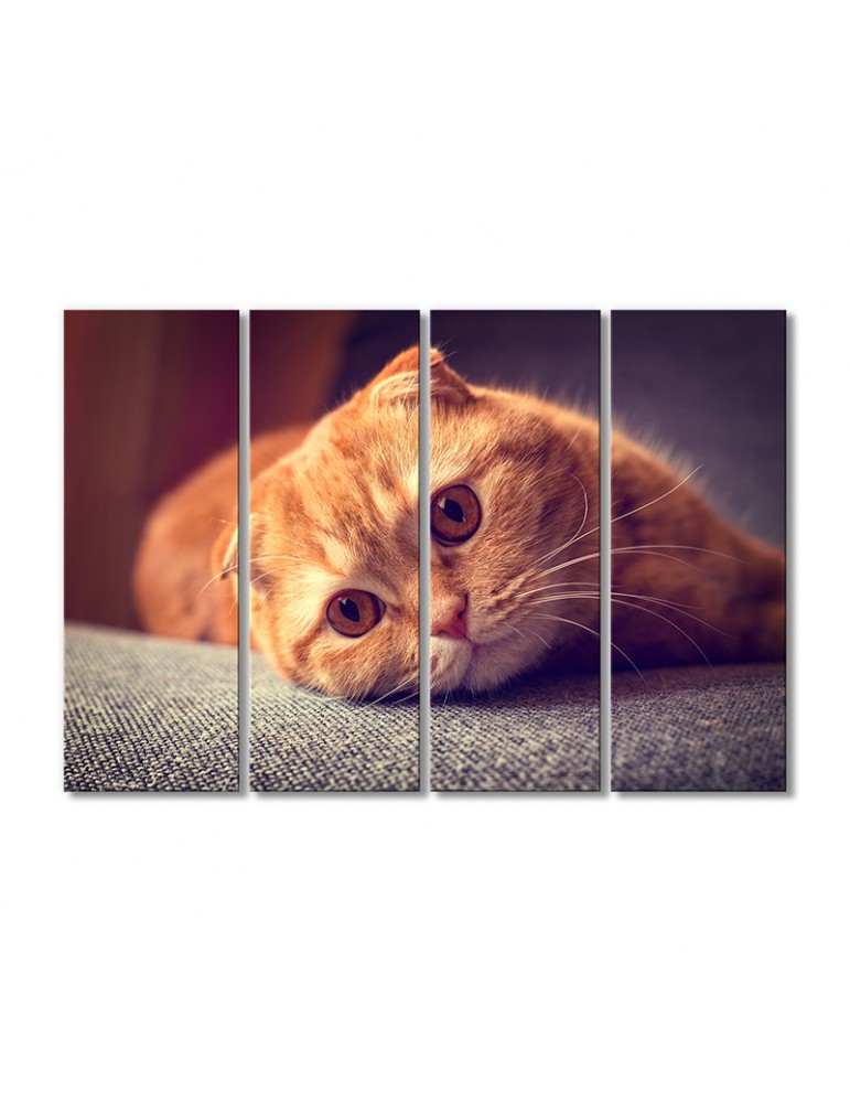 

Модульная картина Artel «Рыжий котик скоттиш-фолд» 4 модуля 80x120 см