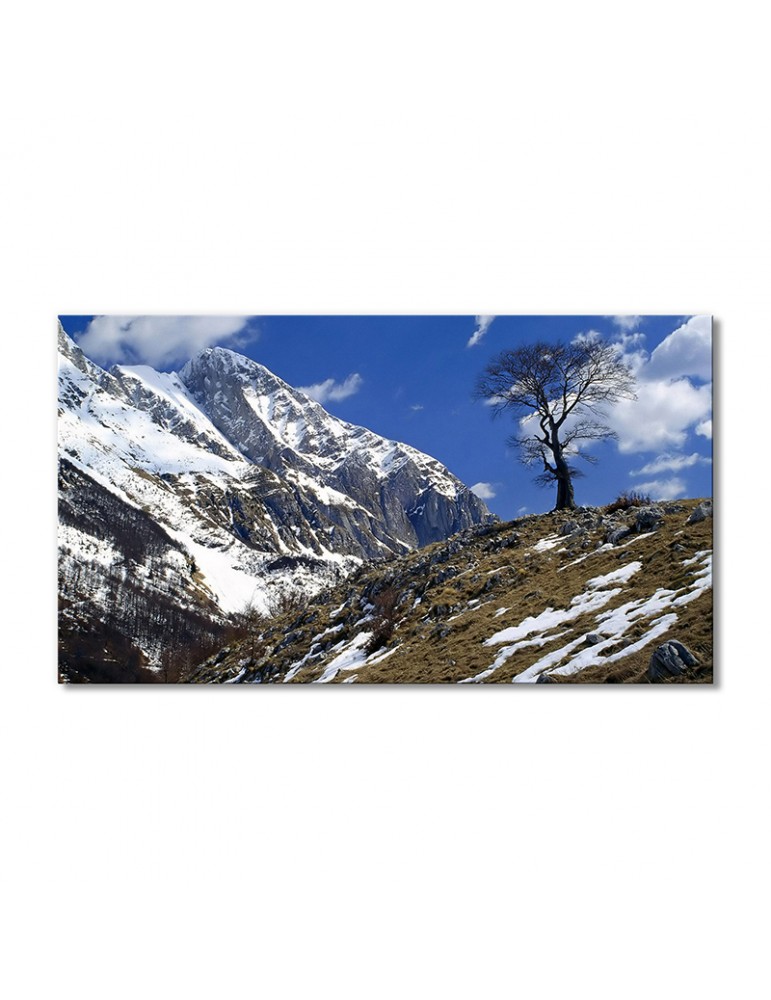 

Модульная картина Artel «Снежные горы небо» 1 модуль 70x105 см