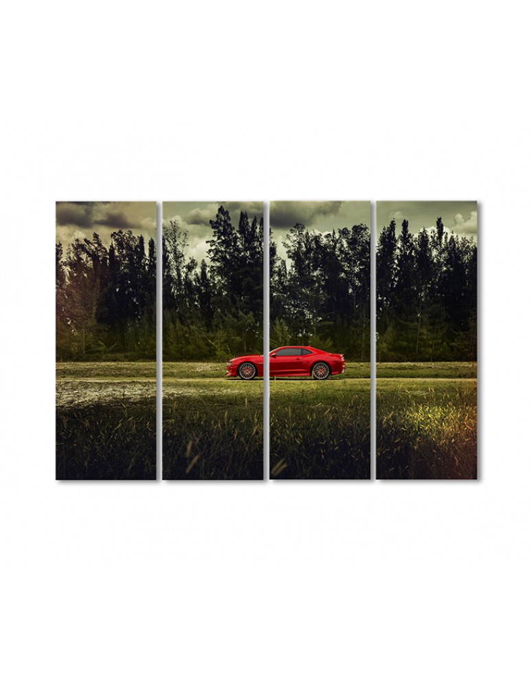 

Модульная картина Artel «Спортивная машина в поле» 4 модуля 60x90 см