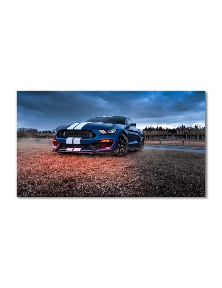 

Модульная картина Artel «Синий Форд Мустанг Шелби GT500» 1 модуль 60x90 см
