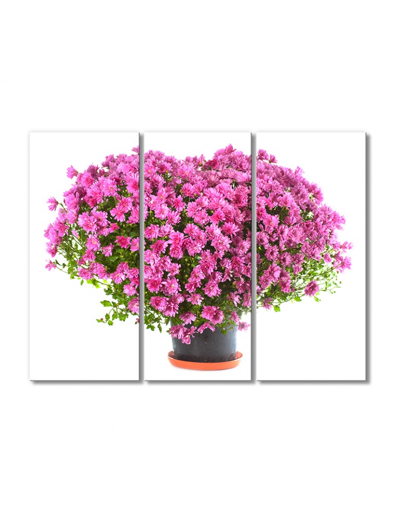 

Модульная картина Artel «Сердце из розовых хризантем» 3 модуля 90x135 см