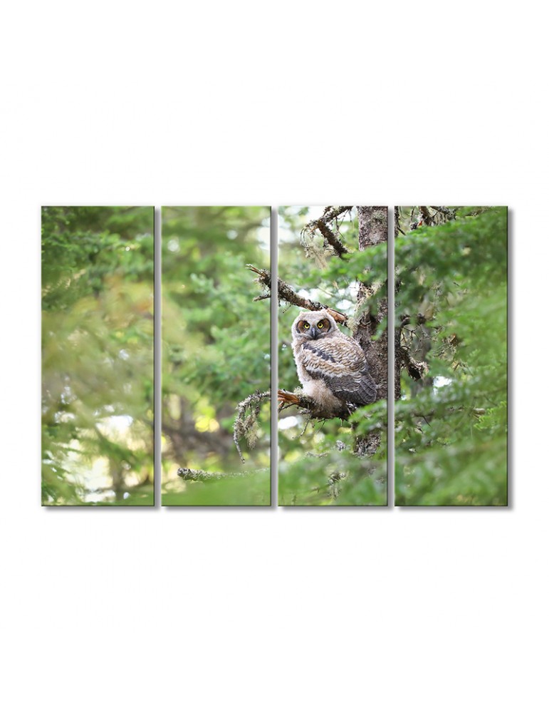 

Модульная картина Artel «Северо-американская сова» 4 модуля 60x90 см