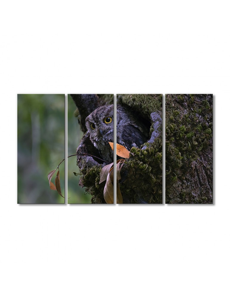 

Модульная картина Artel «Сова в дупле» 4 модуля 60x90 см