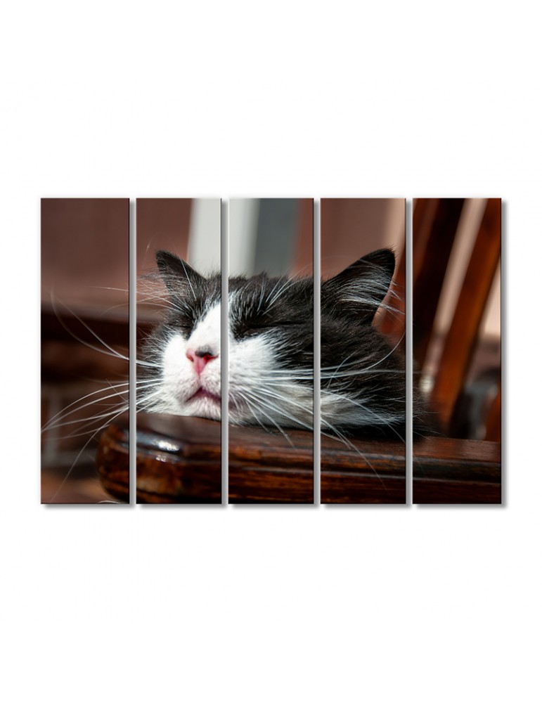 

Модульная картина Artel «Спящий кот» 5 модулей 80x120 см