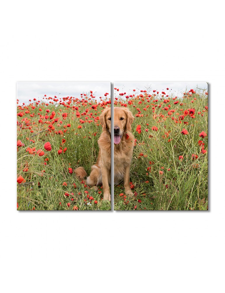

Модульная картина Artel «Собака в маках» 2 модуля 90x135 см