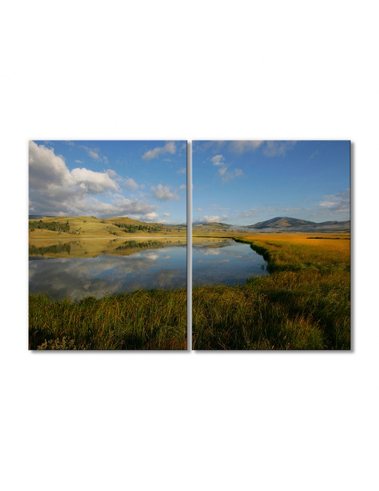 

Модульная картина Artel «Степь поросшая травянистой растительностью» 2 модуля 60x90 см