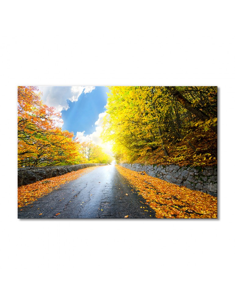 

Модульная картина Artel «Солнечная осенняя лесная дорога» 1 модуль 80x120 см