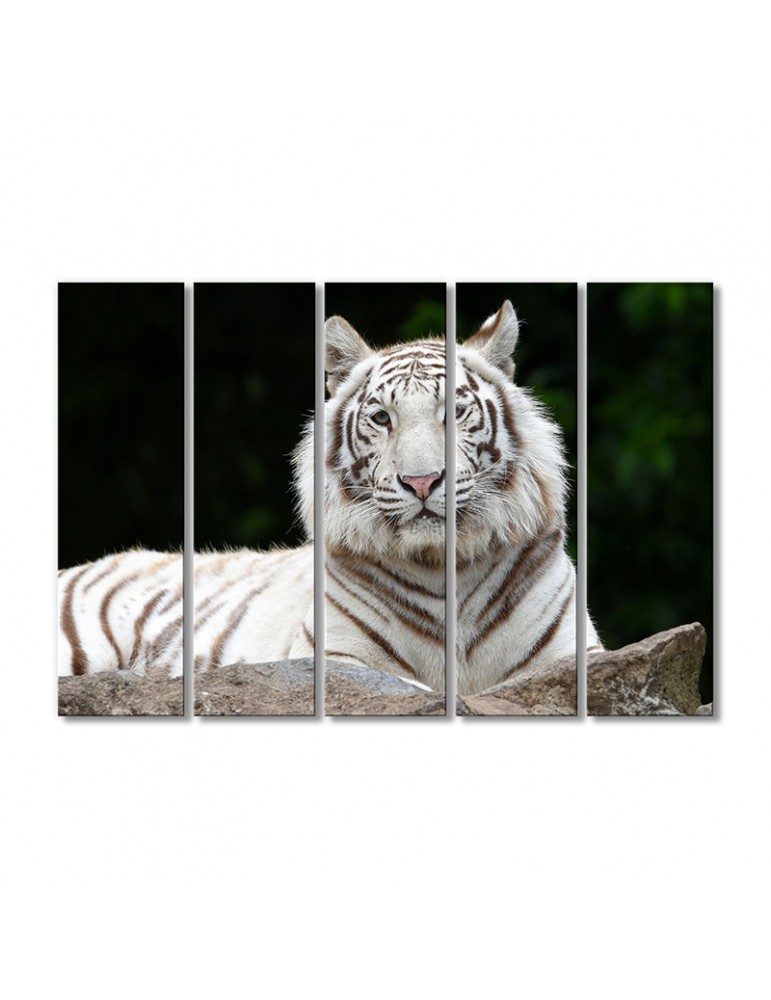 

Модульная картина Artel «Тигр-альбинос» 5 модулей 80x120 см