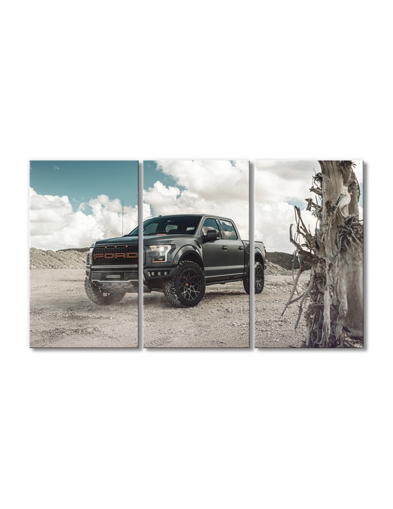 

Модульная картина Artel «Тюнинг Форд F-150 Раптор 2018» 3 модуля 120x180 см