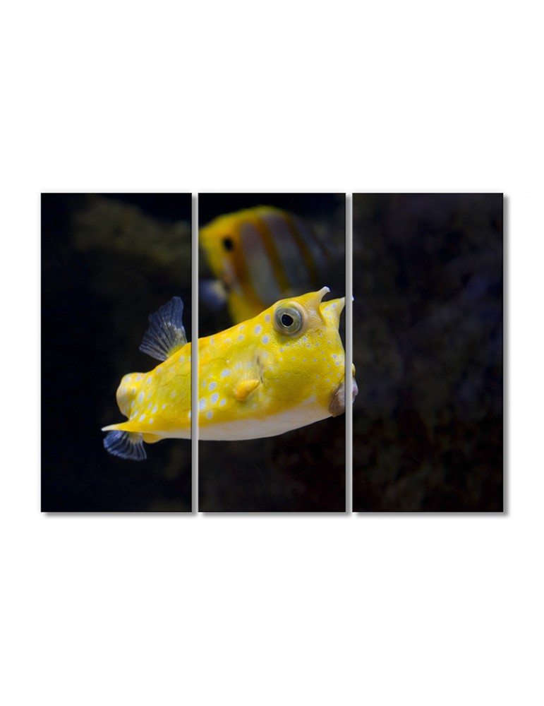 

Модульная картина Artel «Тропическая рыба с плавниками» 3 модуля 80x120 см