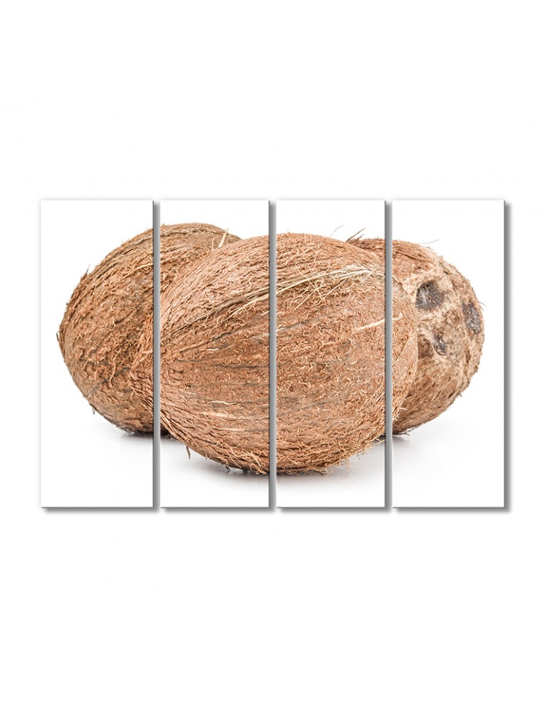 

Модульная картина Artel «Три кокоса» 4 модуля 60x90 см