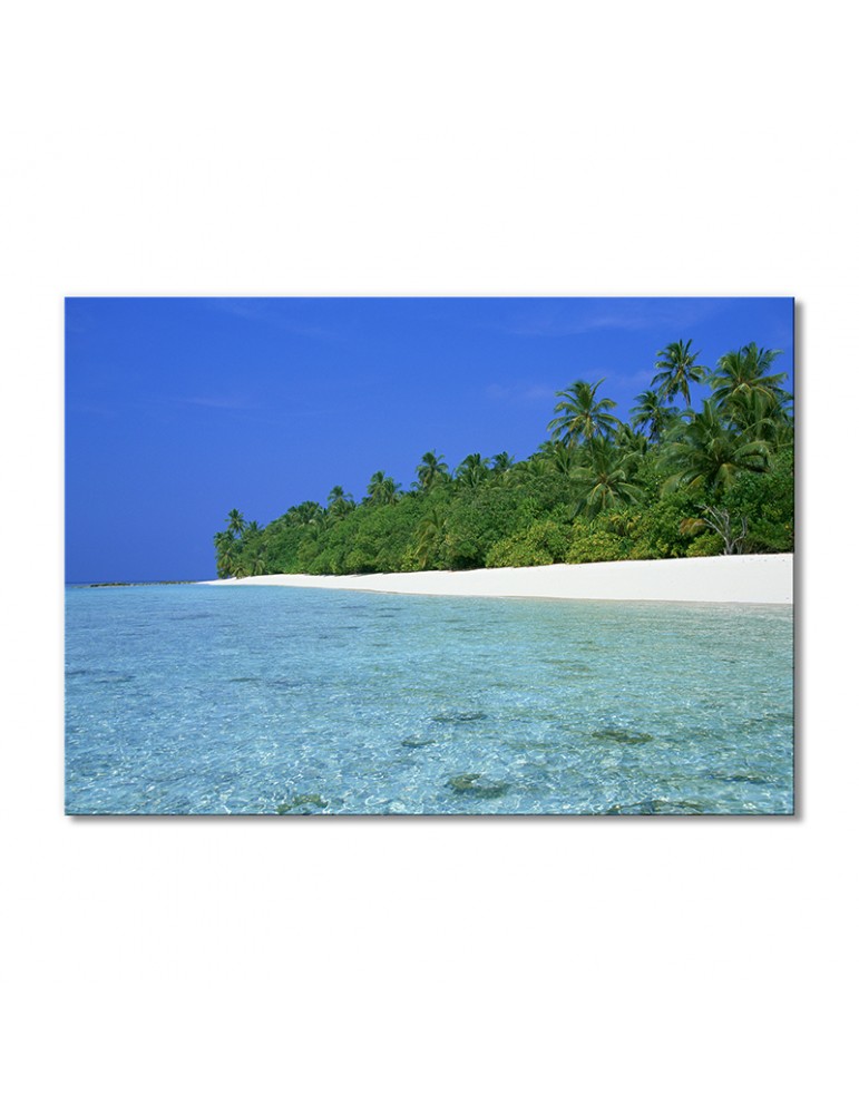 

Модульная картина Artel «Тропики на Мальдивах» 1 модуль 70x105 см