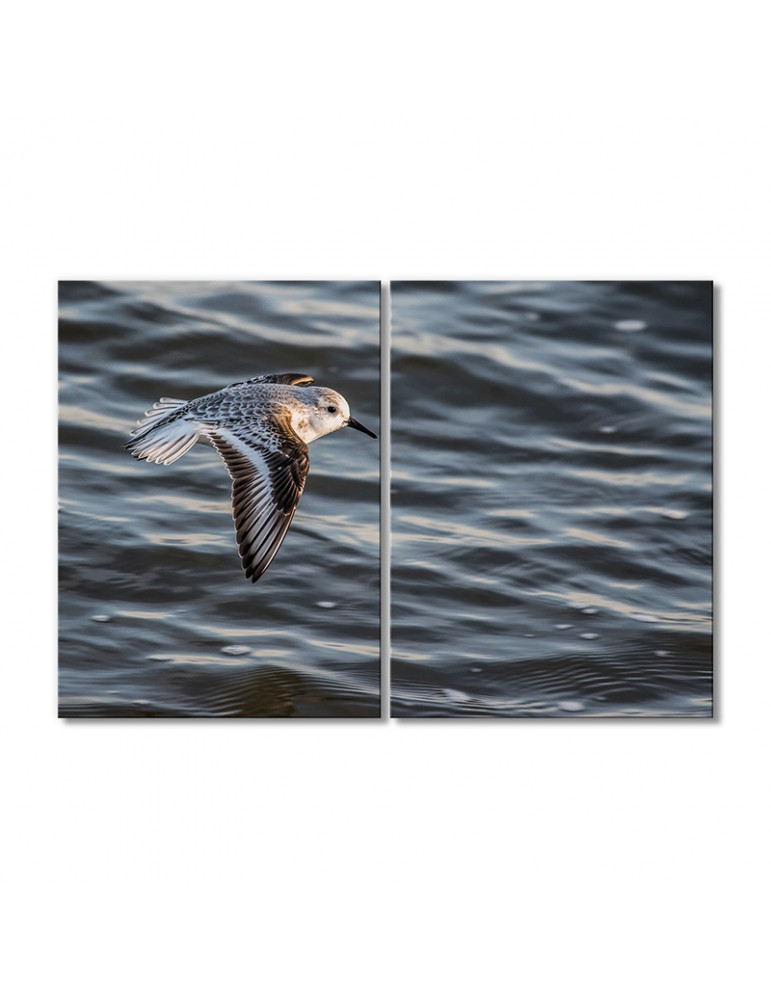 

Модульная картина Artel «Чернозобик над водой» 2 модуля 120x180 см