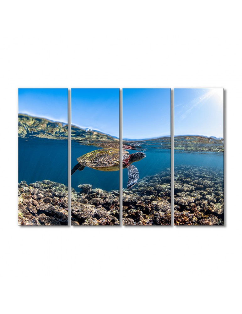 

Модульная картина Artel «Черепаха на поверхности» 4 модуля 80x120 см