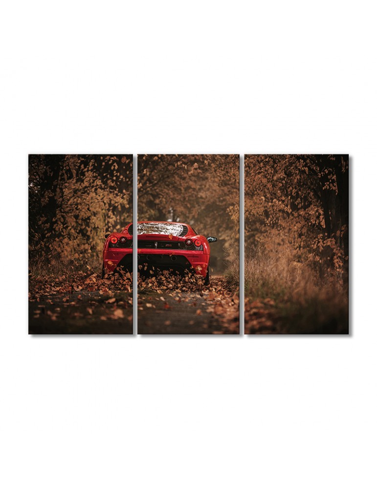 

Модульная картина Artel «Феррари 430 скудерия красный автомобиль» 3 модуля 120x180 см