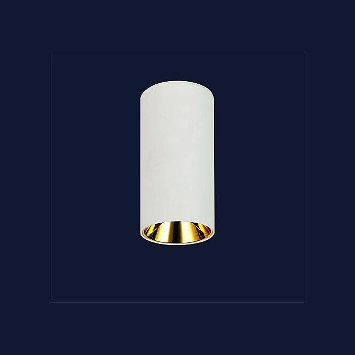 

Светильник Levistella 90580COB-10W WH-GD