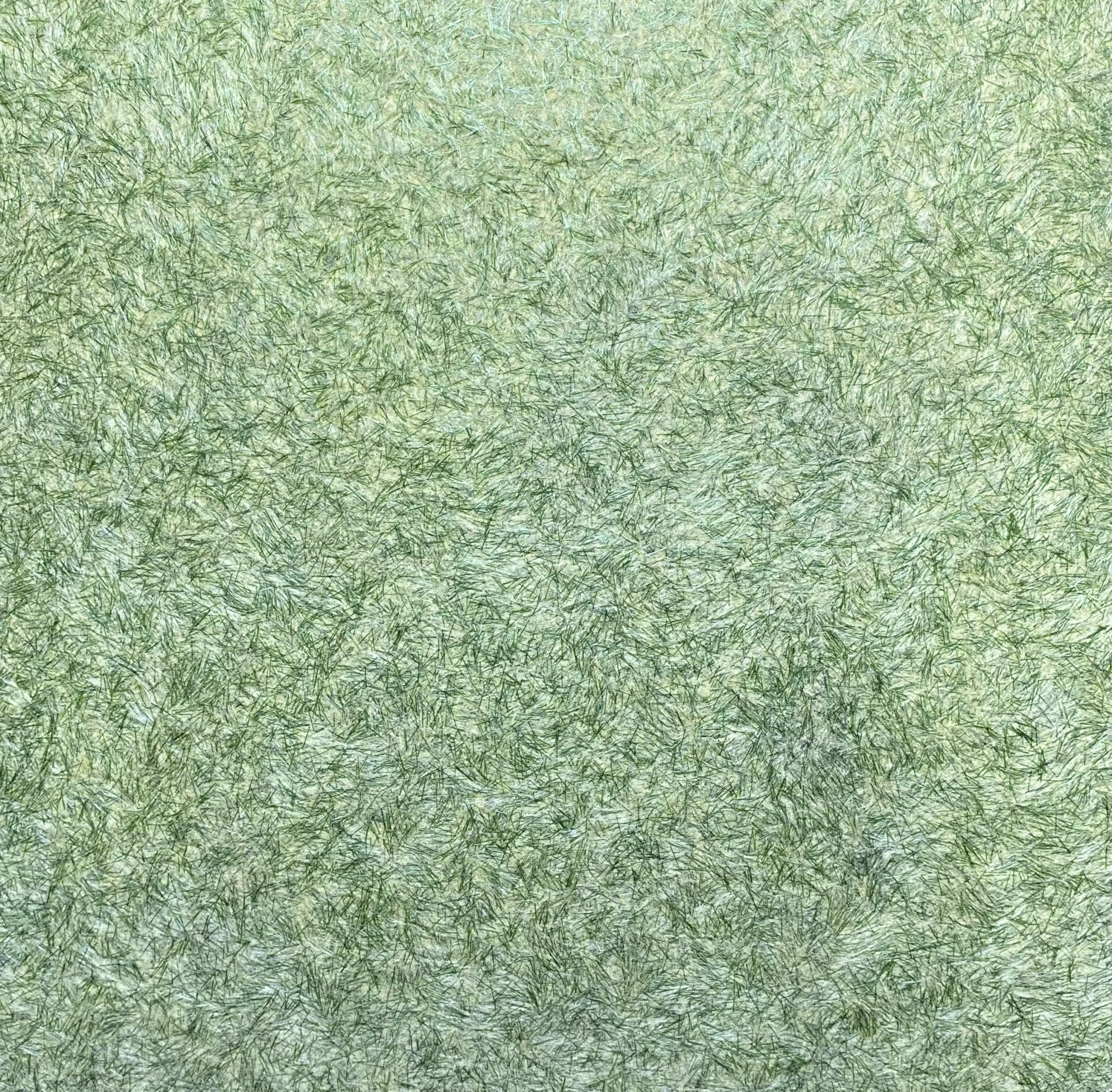 

Жидкие обои DREAM ROOM Lux12 зеленый