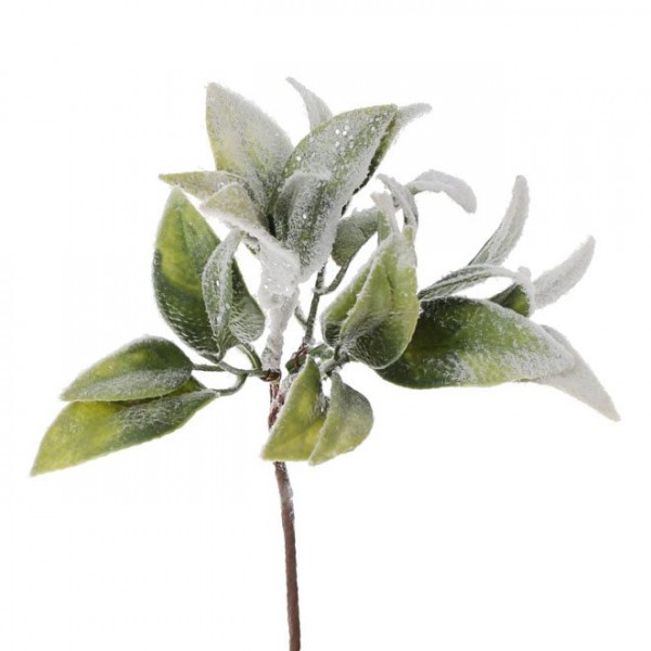 

Букетик листьев заснеженный Flora 12шт/уп 12699 (NAT07461)