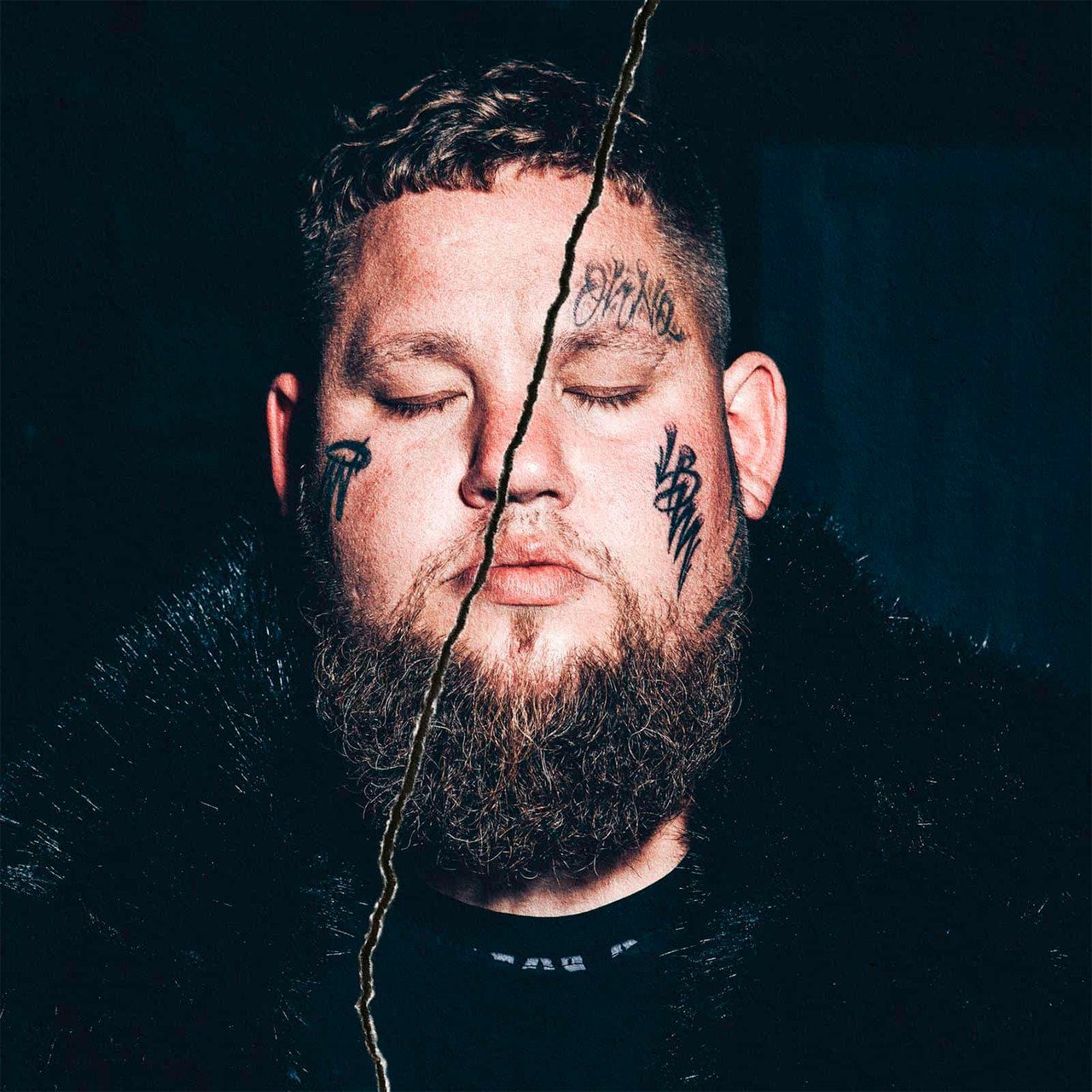 

Виниловая пластинка Rag'n'Bone Man – Life by Misadventure 2LP (194398549712)